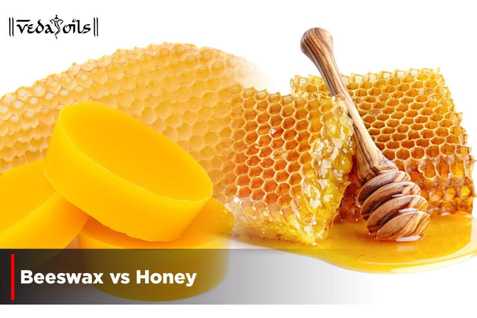 Beeswax vs Honey - What's The Difference ?