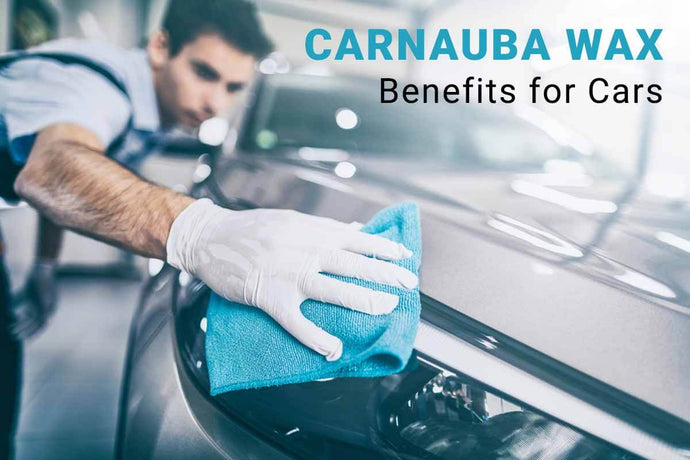 Carnauba Wax for Cars and Its Benefits - How to Apply