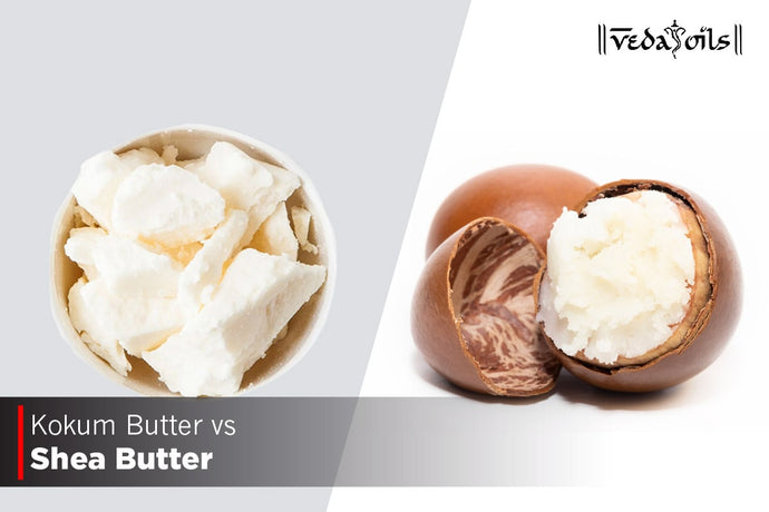 Kokum Butter vs Shea Butter : Which is Better for Hair and Skin Care