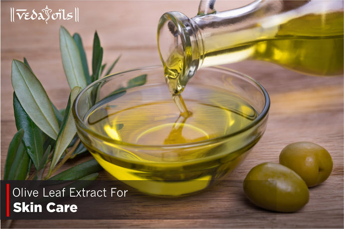Olive Leaf Extract For Skin Care- Benefits & Use