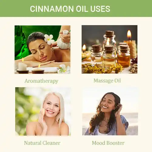 Cinnamon Oil - 10 Ml