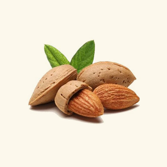 Almond Flavour Oil