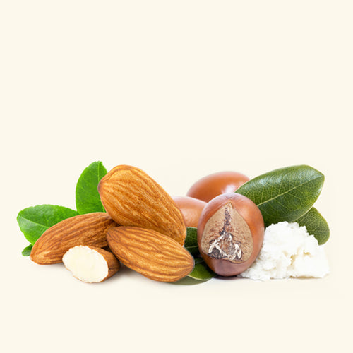 Almond & Shea Butter Fragrance Oil