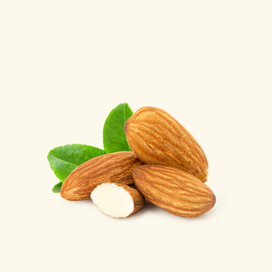 Almond Fragrance Oil