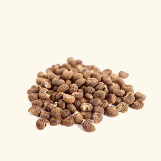 Ambrette Seed Essential Oil