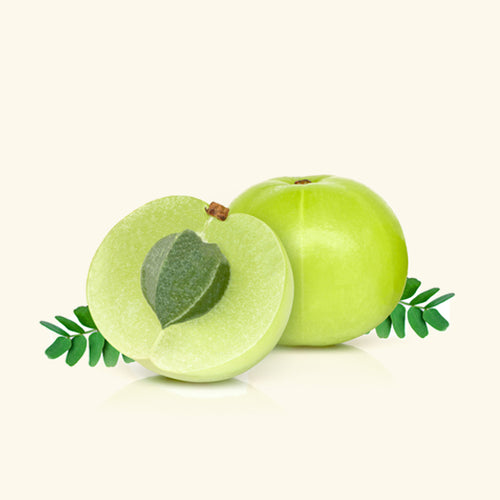 Amla Fragrance Oil