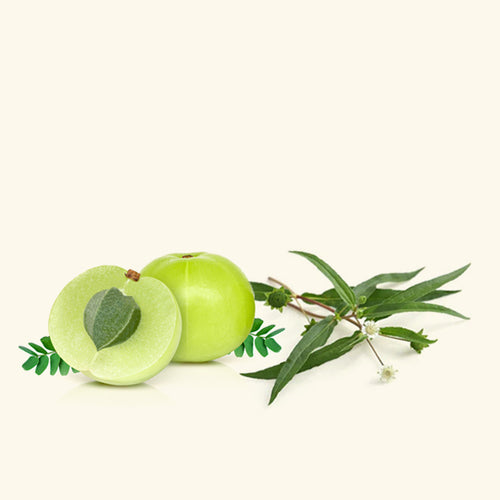 Amla & Bhringraj Fragrance Oil