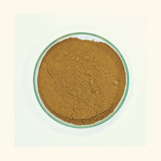 Amla (Gooseberry) Powder