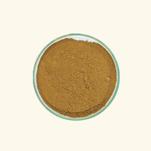 Bhumi Amla Powder