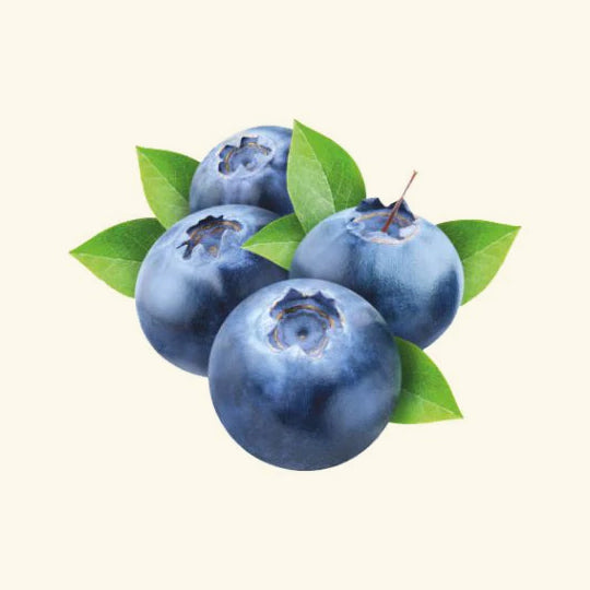 Blueberry Flavor Oil