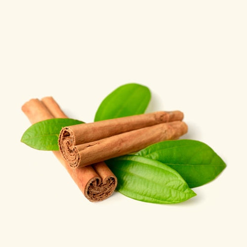 Cinnamon Leaf Essential Oil