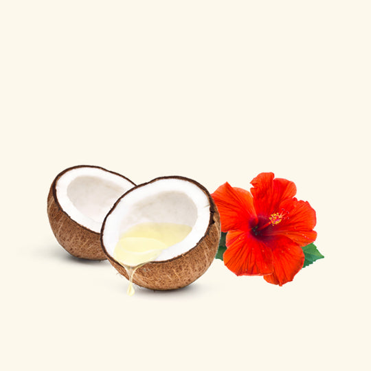 Coconut Hibiscus Massage Oil