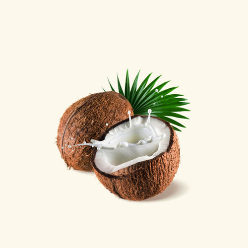 Coconut Milk Fragrance Oil