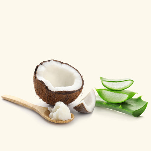 Coconut & Aloe Fragrance Oil