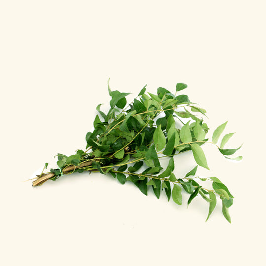 Curry Leaf Essential Oil