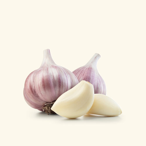 Garlic Essential Oil