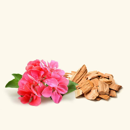 Geranium & Sandalwood Fragrance Oil