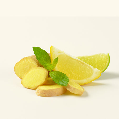 Ginger Lime Fragrance Oil