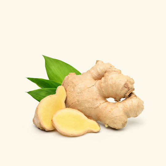 Ginger Root Essential Oil