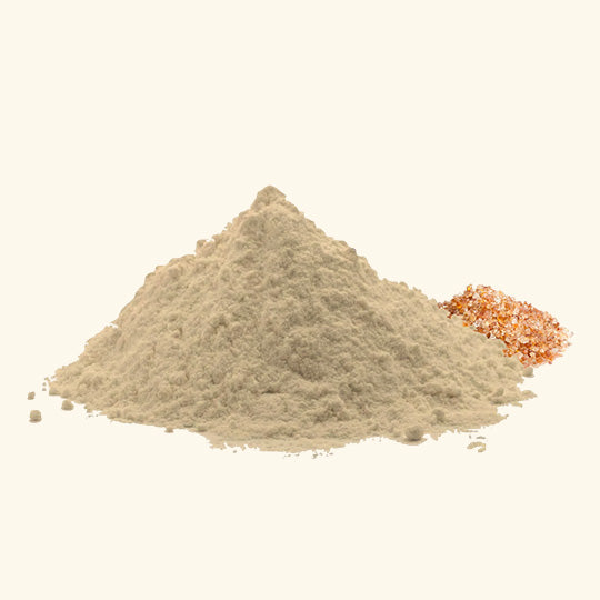 Katira Gond Powder