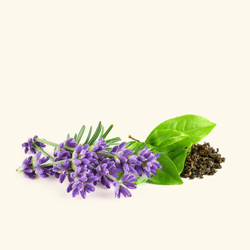 Lavender & Green Tea Fragrance Oil