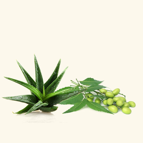 Neem Aloe Fragrance Oil