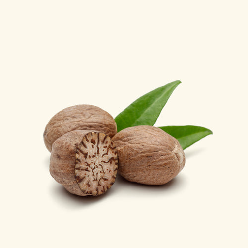 Nutmeg Fragrance Oil