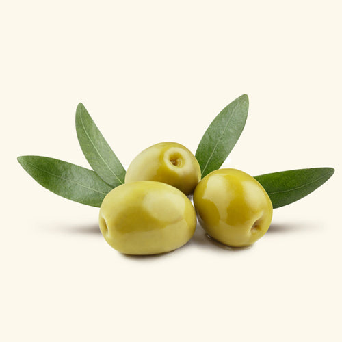 Olive Leaf Extract