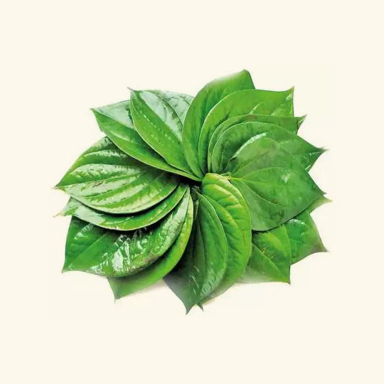 Paan Flavor Oil