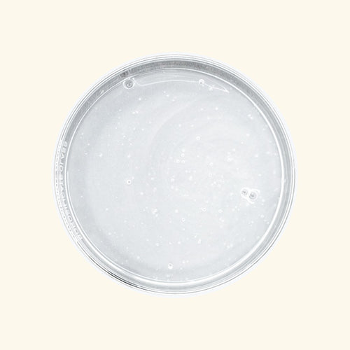 Pearly Body Wash Base  ( Ready to Use )