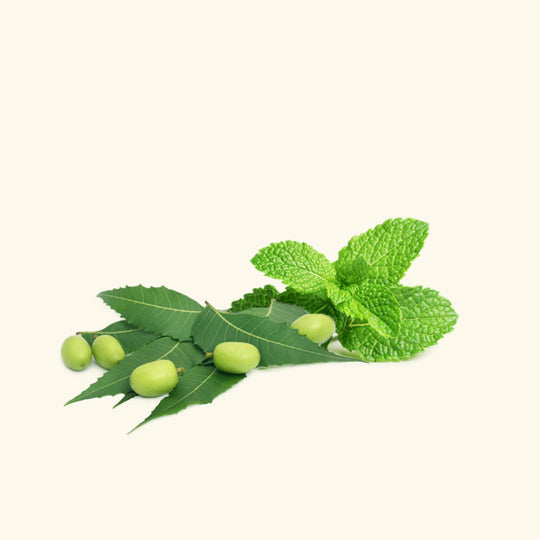 Peppermint & Neem Massage Oil