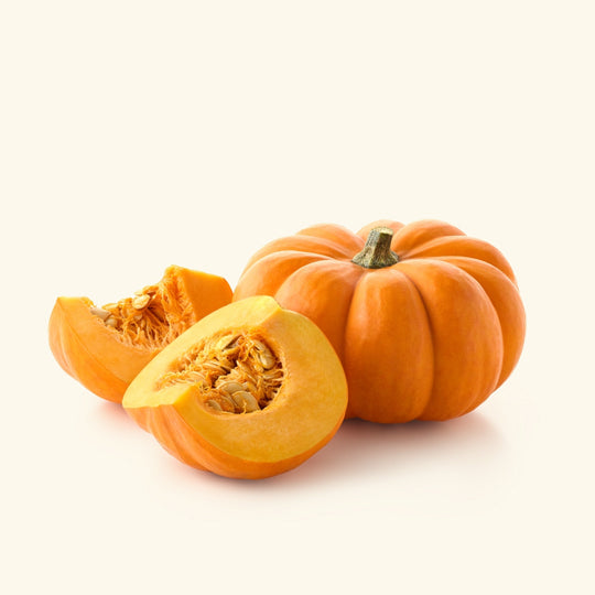 Pumpkin Fragrance Oil