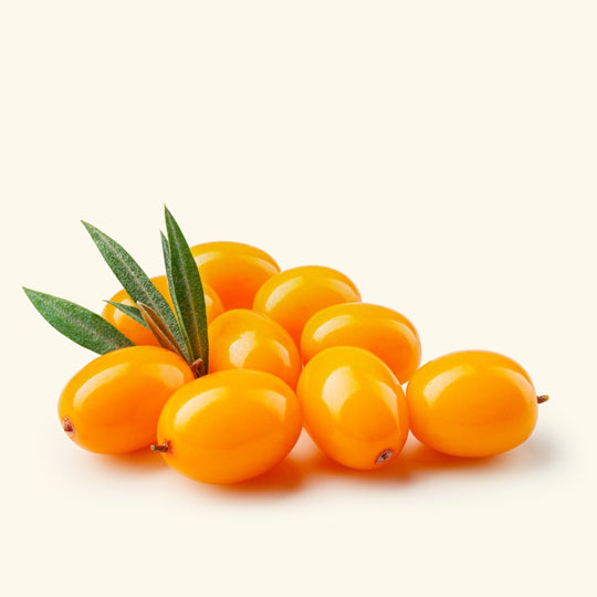 Sea Buckthorn Oil