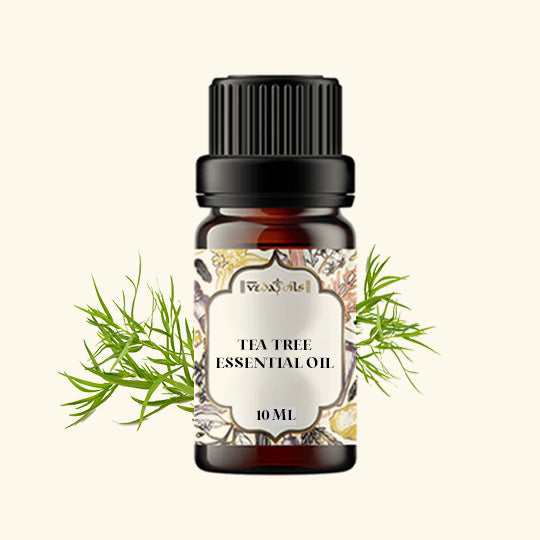 Tea Tree Oil - 10 Ml