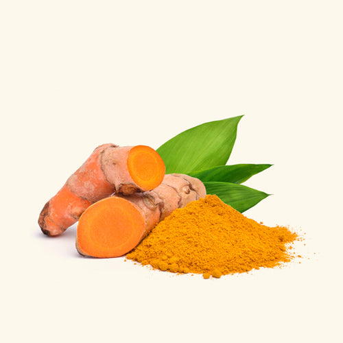 Turmeric Liquid Extract