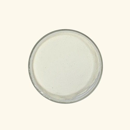 Xanthan Gum Powder