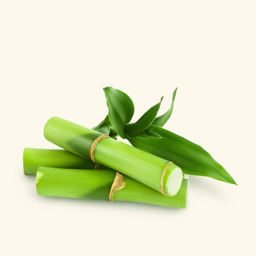 Bamboo Fragrance Oil