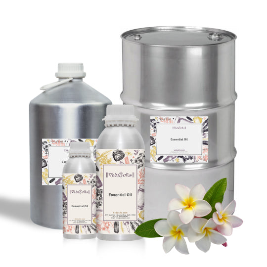 Frangipani Essential Oil